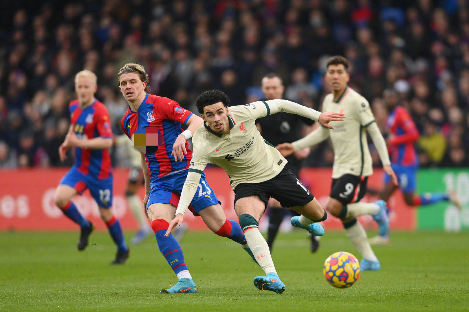 季注入了信 季注入了信